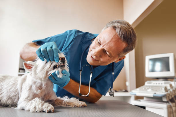 Best Pediatric Emergency Dentist in Chanute, KS